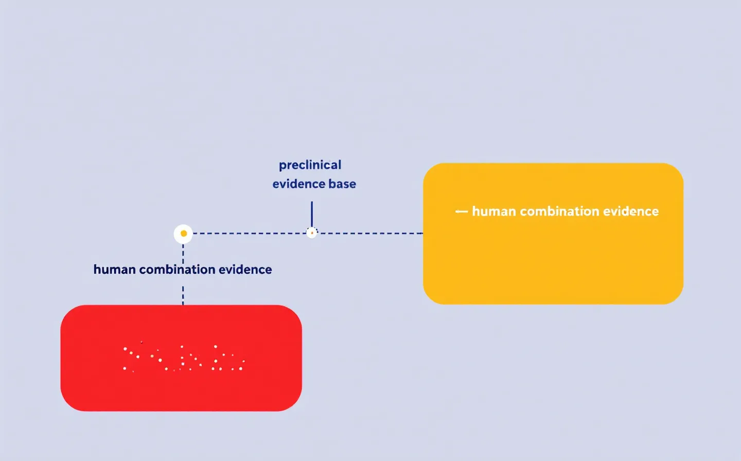 Flat-design infographic showing the gap between preclinical evidence density and human combination evidence as two color-coded rectangles bridged by a thin navy line
